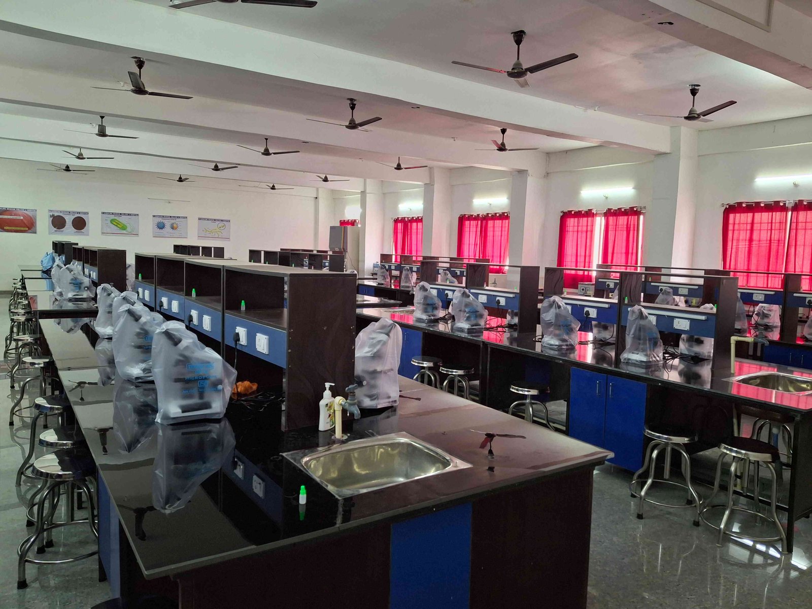 Medical Laboratory